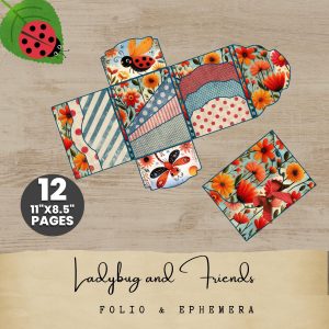 Ladybug and Friends Folio Kit