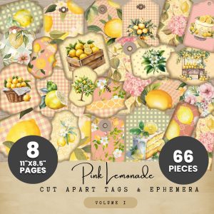 Pink Lemonade Ephemera Kit