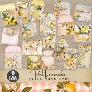 Pink Lemonade Envelope Kit