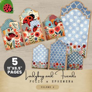 Ladybug Folio Kit Set 2