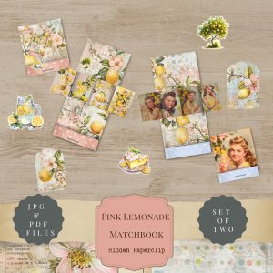 Pink Lemonade Matchbook Paperclips