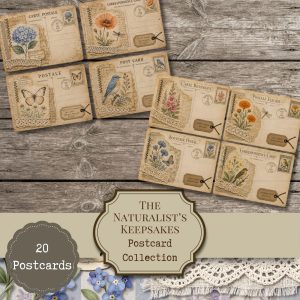 Naturalist's Keepsakes Botanical Postcards