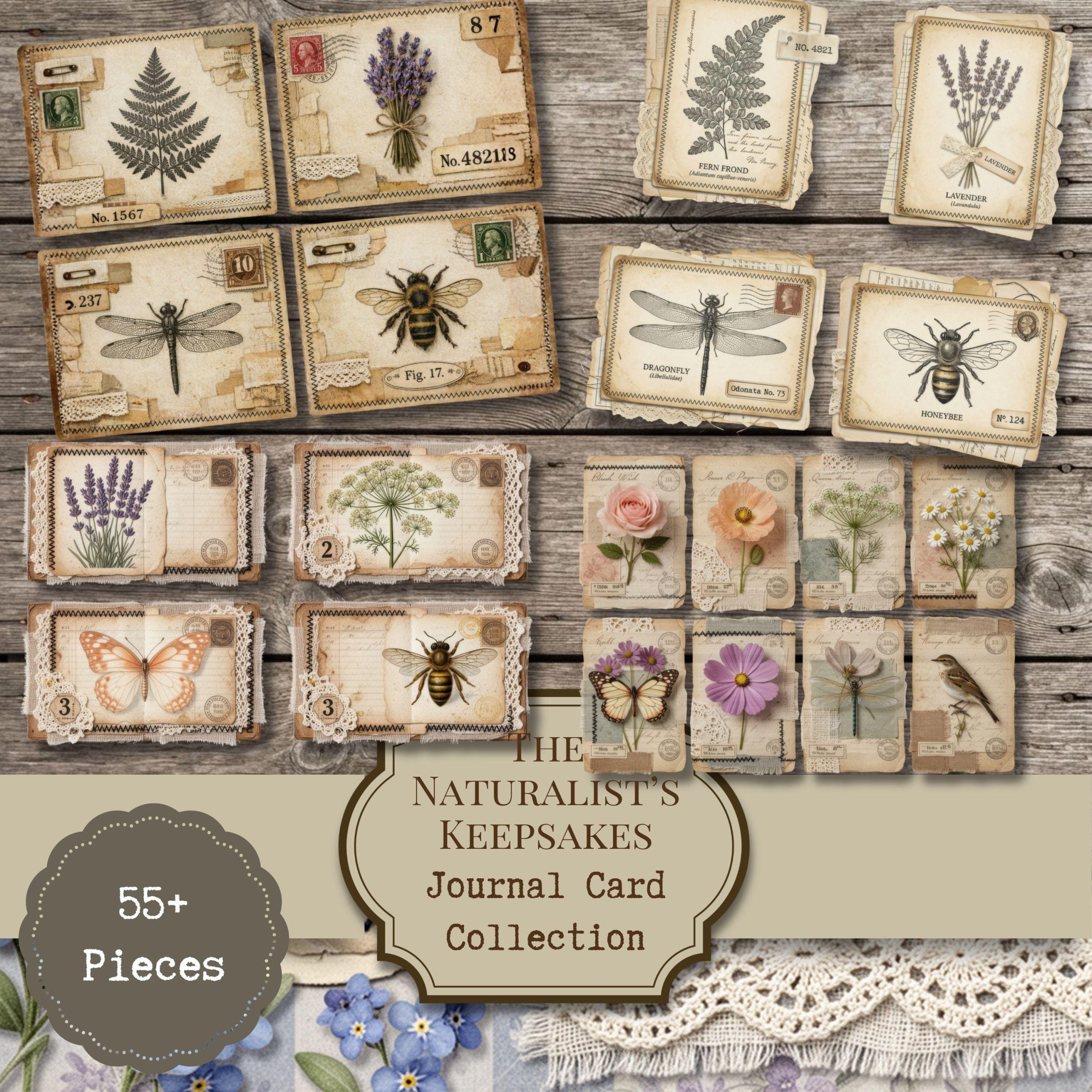 Naturalist’s Keepsakes